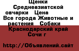 Щенки Среднеазиатской овчарки › Цена ­ 30 000 - Все города Животные и растения » Собаки   . Краснодарский край,Сочи г.